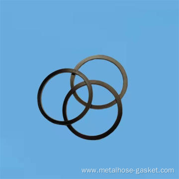 316L Basic graphite wound gasket